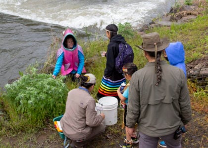 image of Salmon Festival