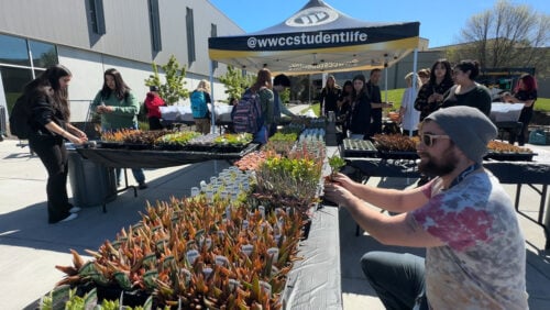 Student admiring plants that are given away.