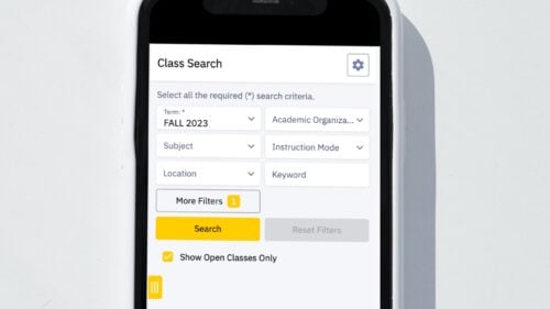Image of class search on iPhone