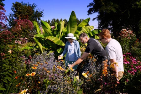 Continuing Education class in a garden.