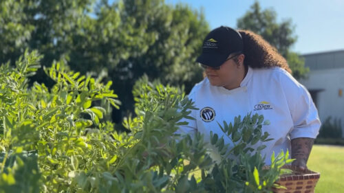 image of WWCC Culinary Students