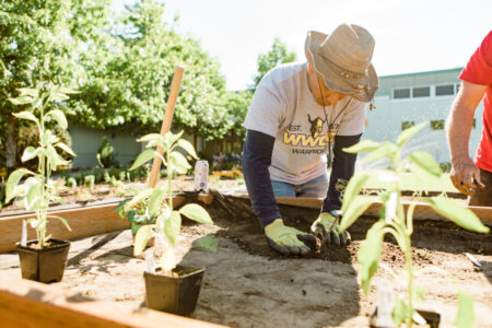 image of WWCC Farm to Fork Herb Bed
