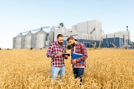 Two farmers are standing in a wheat field with tablet. Agronomists discuss harvest among ears of wheat with grain terminal on background