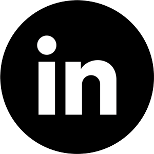 LinkedIn icon