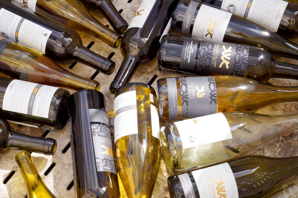 wine bottles in recycling bin